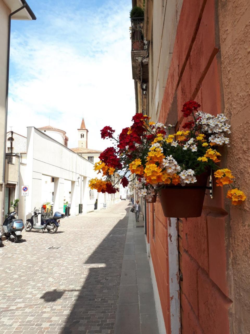 B&B Via Museo Bassano del Grappa Exterior foto